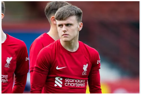 UFABETสมัครเว็บบอลออนไลน์